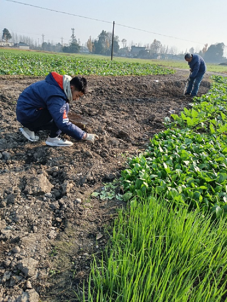 图片14.png 图片14.png