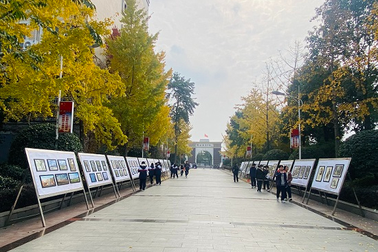 艺术在校园       佳作沁人心